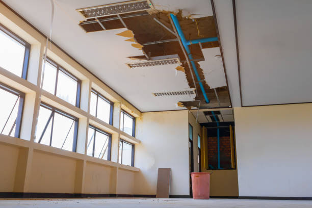Best Water damage restoration near me  in Fraser, CO