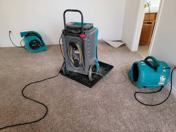 Best Mold removal after water damage  in Fraser, CO