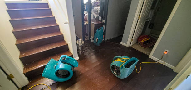 Best Water damage contractors near me  in Fraser, CO