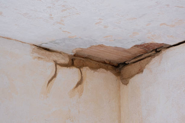 Best Basement water damage restoration  in Fraser, CO