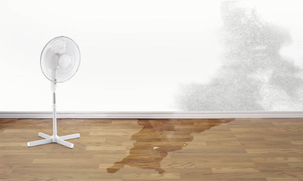 Best Fire Damage Restoration  in Fraser, CO