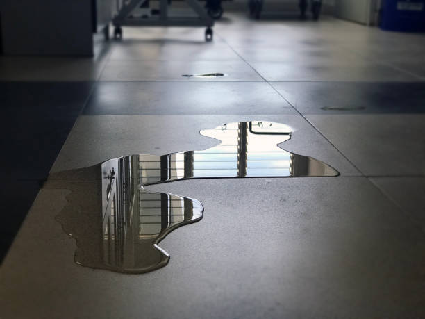 Best Commercial water damage restoration  in Fraser, CO