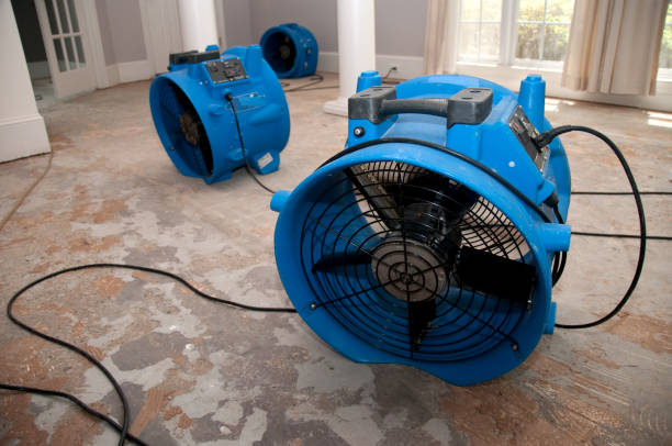 Best Flooded house restoration  in Fraser, CO