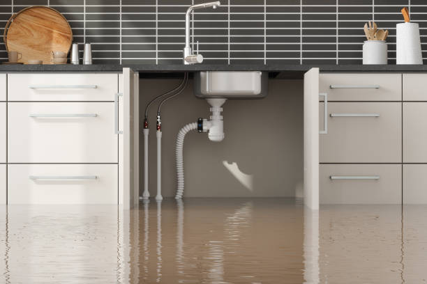 Best Flood damage cleanup  in Fraser, CO